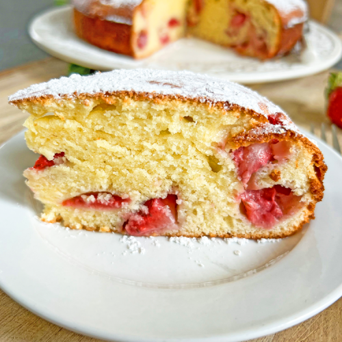 Springform Cake Pan 9 in/23 cm – La Cuisine